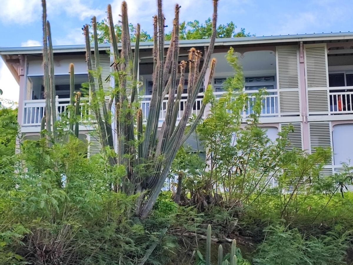Un Petit Joyau Apartment เลอ ดีอามงต์ ภายนอก รูปภาพ